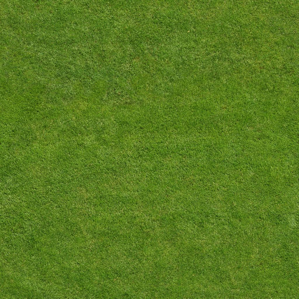 grass.jpg